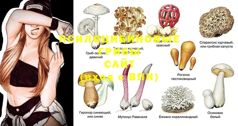 Купить закладку Великий Устюг COCAIN  ГАШИШ  Марихуана 